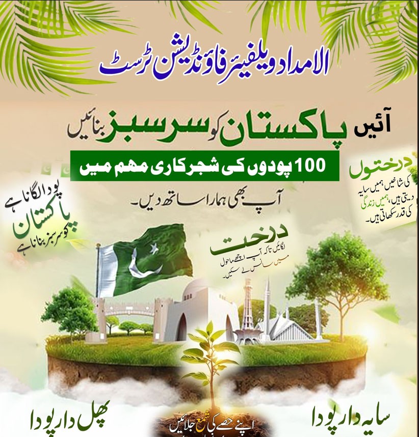 Impact Photo other-11